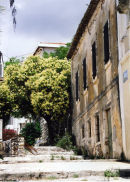 Back Streets, Ag. Efimia